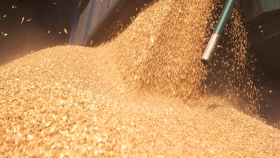 Экспортную пошлину на пшеницу из РФ поднимут до 4,4966 тысячи рублей